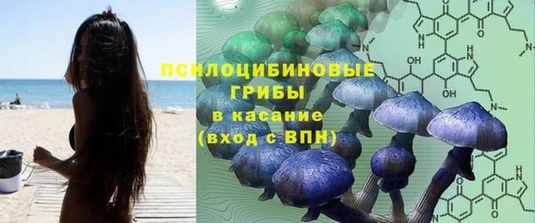 бошки Балахна