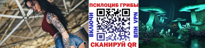 Псилоцибиновые грибы Psilocybe Белоусово